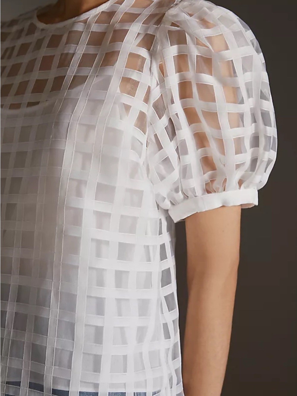 White Sheer Grid Puff-Sleeve English Factory Top